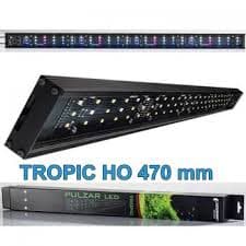 Giesemann Pulzar Tropic 1070mm HO