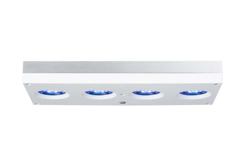 AI Hydra HD 64 LED weiss