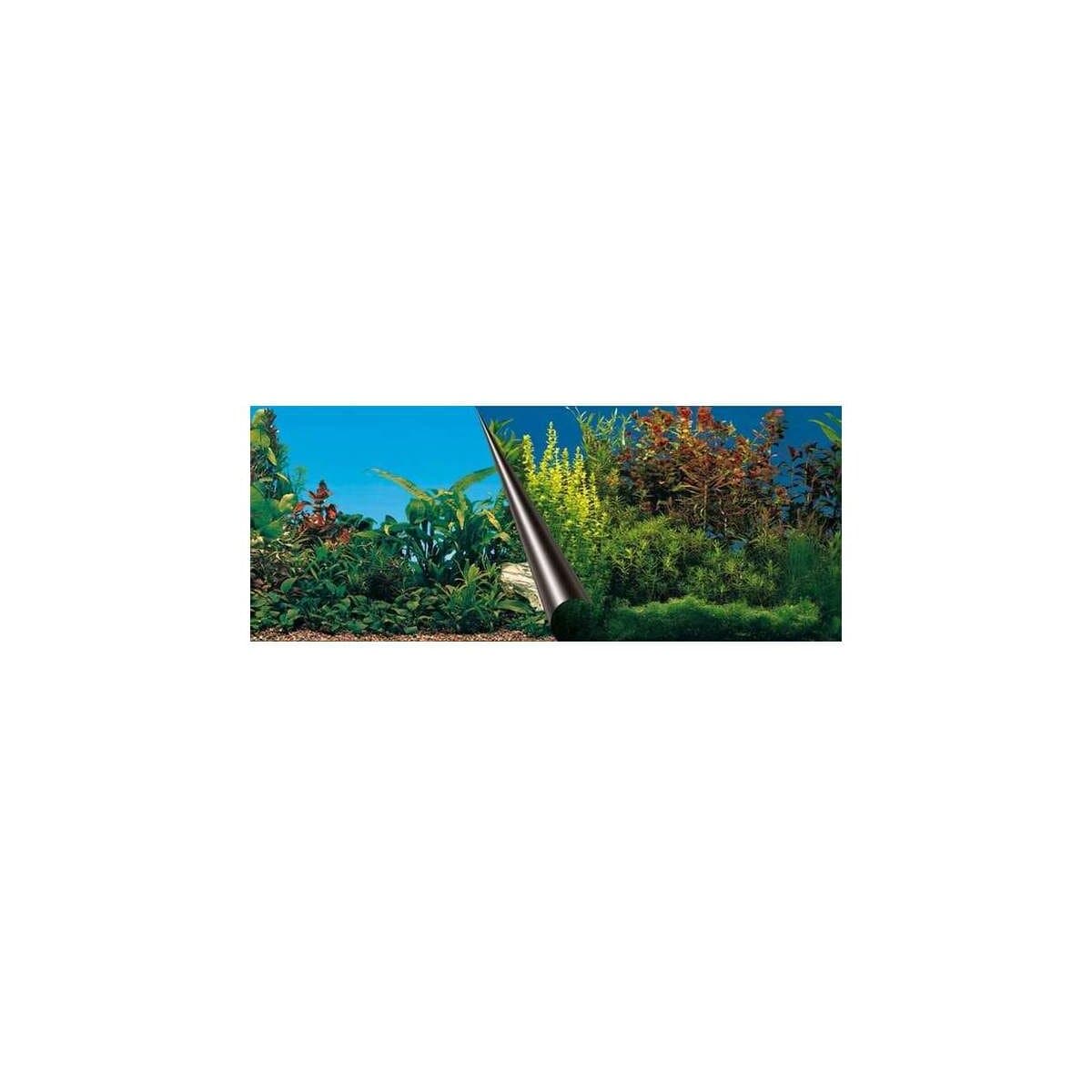 Photo-Rückwand Beauty+Sea 80x40cm