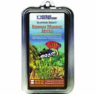 Ocean Nutrition Brown marine algae
