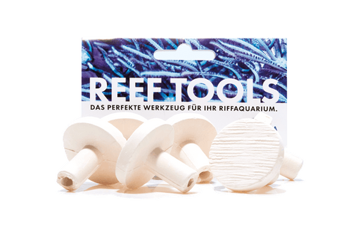 Fauna Marin Maxi Reef Disc 3,3 cm Ø