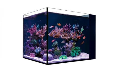 Aquarium PENINSULA DESKTOP Redsea (ohne Möbel)