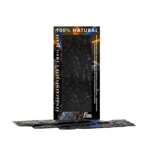 Fauna Marin Schneckenplatte - 100% Natural

