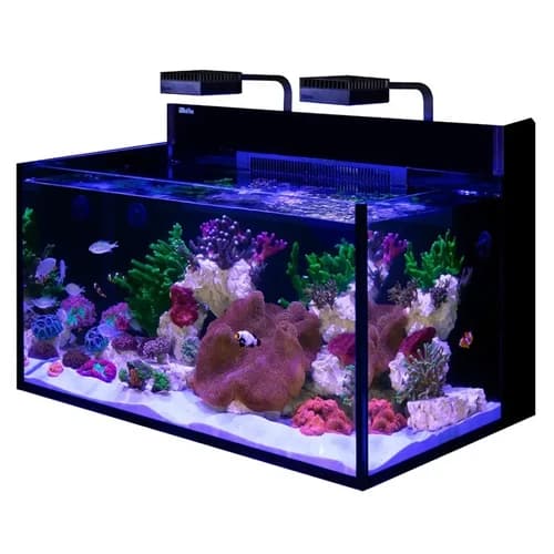 RED SEA MAX Nano G2 XXL- Aquarium 200 Liter