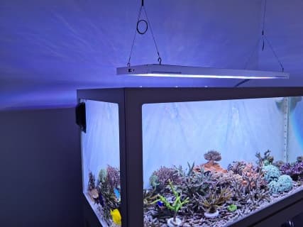 Royal Exclusiv® 300 Liter Hybrid Komplettsystem Aquarium